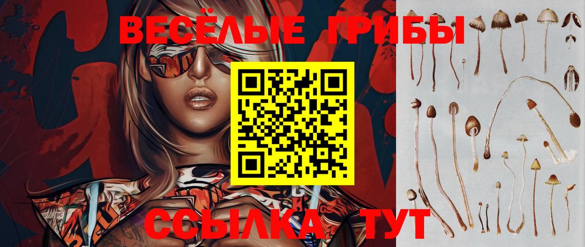 Галлюциногенные грибы мицелий  Вход с VPN  Галлюциногенные грибы Cubensis  Алексин 