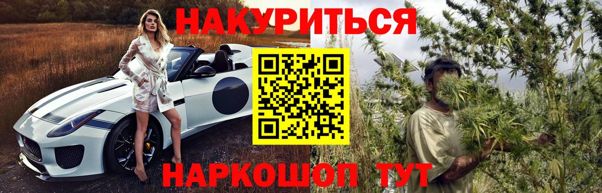 Бошки Шишки SATIVA & INDICA  Канабис конопля  Марихуана OG Kush  Алексин  Вход с VPN 